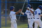 Baseball vs Suffolk  Wheaton College Baseball vs Suffolk University. - (Photo by Keith Nordstrom) : Wheaton, baseball